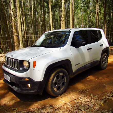 Renegade