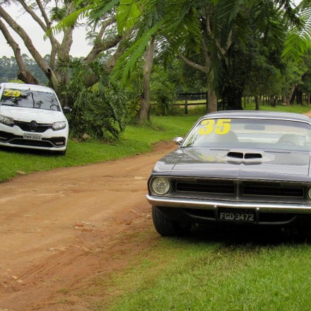 719dfabe-014d-4ede-b97a-fe32404f0d6e